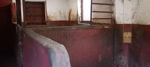 6-Zimmer Haus in Karlsruhe, Germany, Nr. 223239 17