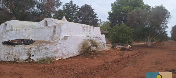 3 chambres Maison à San Michele Salentino, Italy No. 69556 41