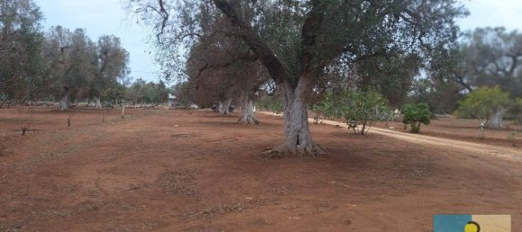 3 chambres Maison à San Michele Salentino, Italy No. 69556 34