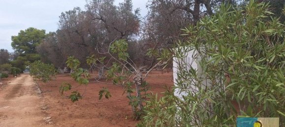 3 chambres Maison à San Michele Salentino, Italy No. 69556 28