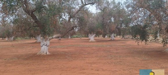 3 chambres Maison à San Michele Salentino, Italy No. 69556 18