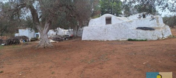 3 chambres Maison à San Michele Salentino, Italy No. 69556 29