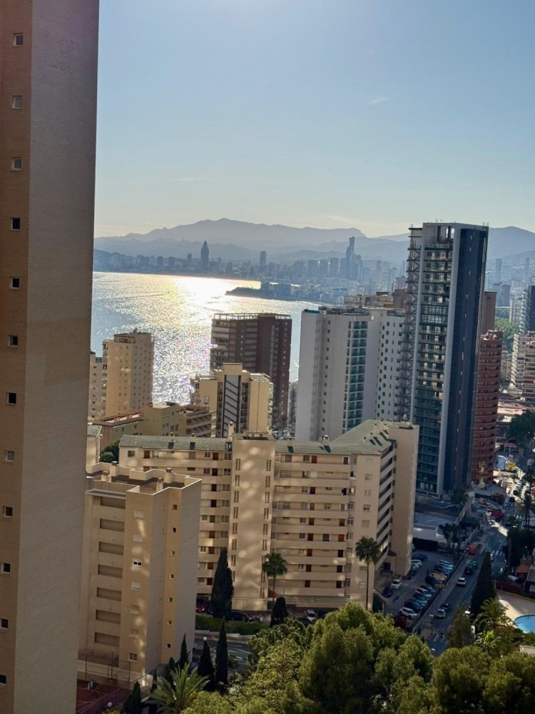 1 chambre appartement à vendre à Benidorm, Alicante, Valencian Community, Spain № 366030