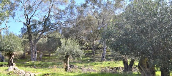 Hôtel à Corfu, Greece 70000m² No. 4266 10