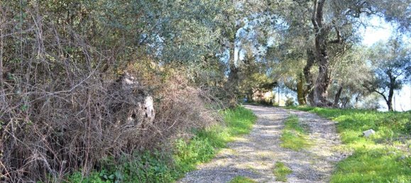 Hôtel à Corfu, Greece 70000m² No. 4266 16