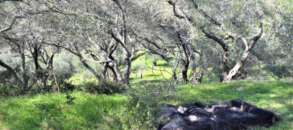 Hôtel à Corfu, Greece 70000m² No. 4266 11