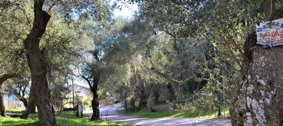 Hôtel à Corfu, Greece 70000m² No. 4266 18