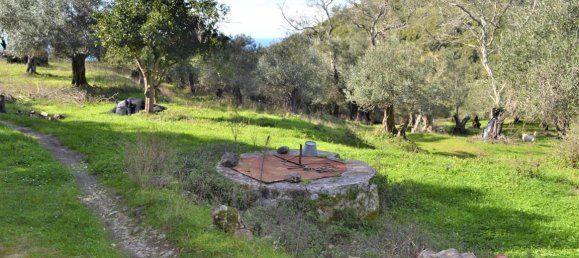 Hôtel à Corfu, Greece 70000m² No. 4266 9