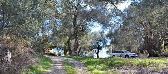 Hôtel à Corfu, Greece 70000m² No. 4266 17