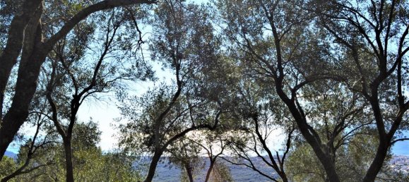 Hôtel à Corfu, Greece 70000m² No. 4266 7