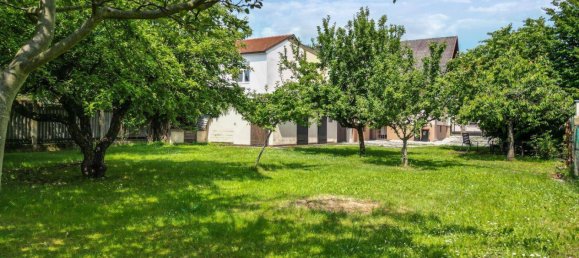 Дом с 6 комнатами в Нойталь, Австрия № 171266 4