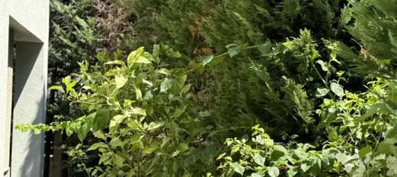 3 Schlafzimmer Villa in Pyrgos, Cyprus, Nr. 4542 14