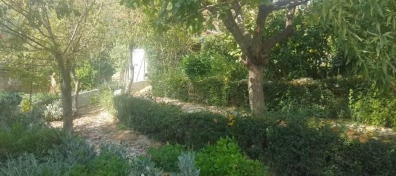 5 rooms Apartment in Monsano, Italy No. 8066 3