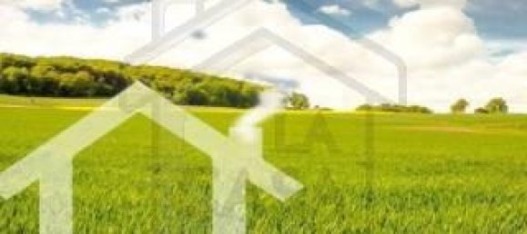 3000m² Land in Due Carrare, Italy No. 24450 7