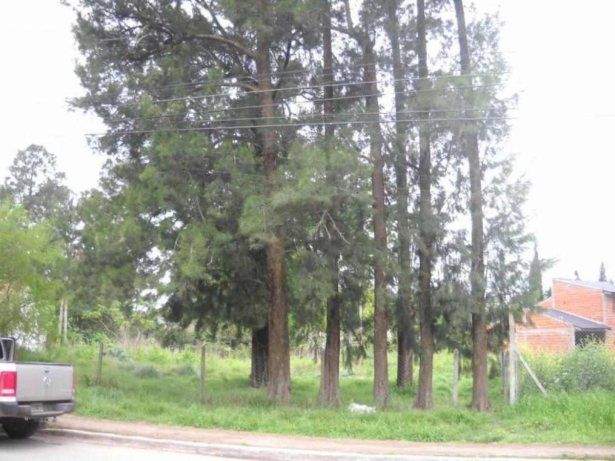  قطعة أرض في Ezeiza, Argentina رقم 42329