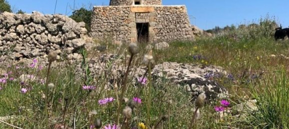 Terreno en Alessano, Italy No. 369852 7