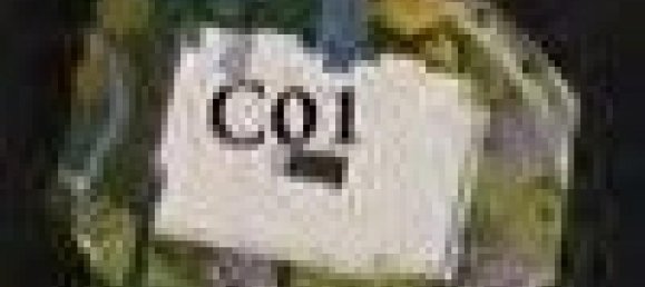 3 chambres Condo à New Capital City, Egypt No. 2523 2