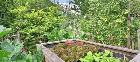 Moradia em banda de 4 divisões em Unna, Germany N.º 275410 28