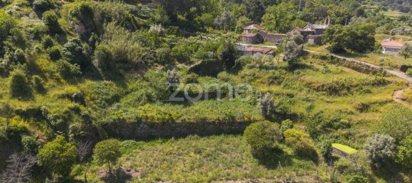 قطعة أرض في Oliveira do Douro, Portugal 10050متر مربع رقم 82121 11