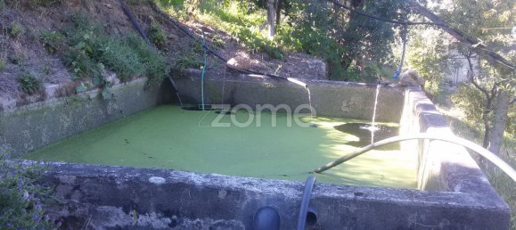 قطعة أرض في Oliveira do Douro, Portugal 10050متر مربع رقم 82121 14