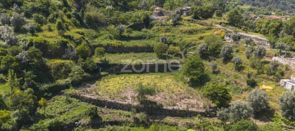 قطعة أرض في Oliveira do Douro, Portugal 10050متر مربع رقم 82121 12