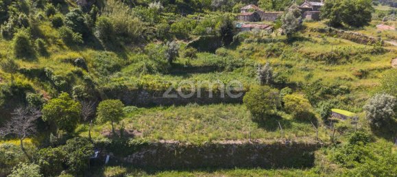 قطعة أرض في Oliveira do Douro, Portugal 10050متر مربع رقم 82121 13