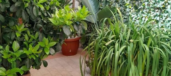 3 rooms Apartment in Formia, Italy No. 140984 5