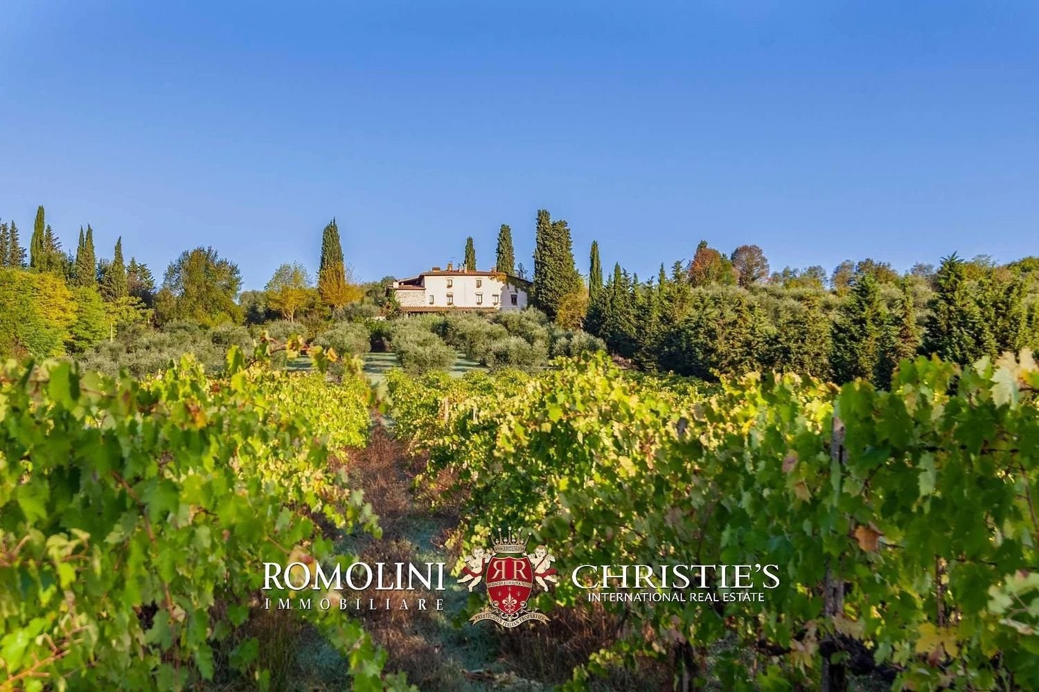 21 room Villa in Rignano sull'Arno, Italy No. 126785