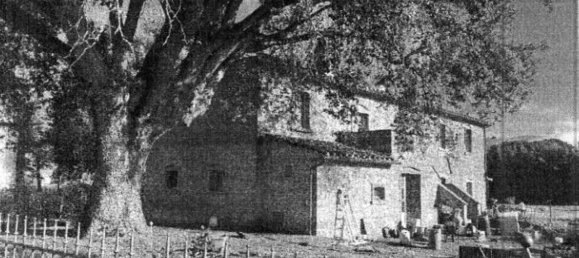 6 غرف نوم شقة في Cortona, Italy رقم 312978 15