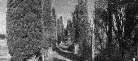 6 غرف نوم شقة في Cortona, Italy رقم 312978 18