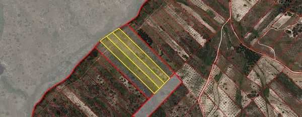 Terrain à Tolosa, Portugal No. 292543