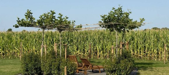 7 rooms Townhouse in Soest, Germany No. 371116 9