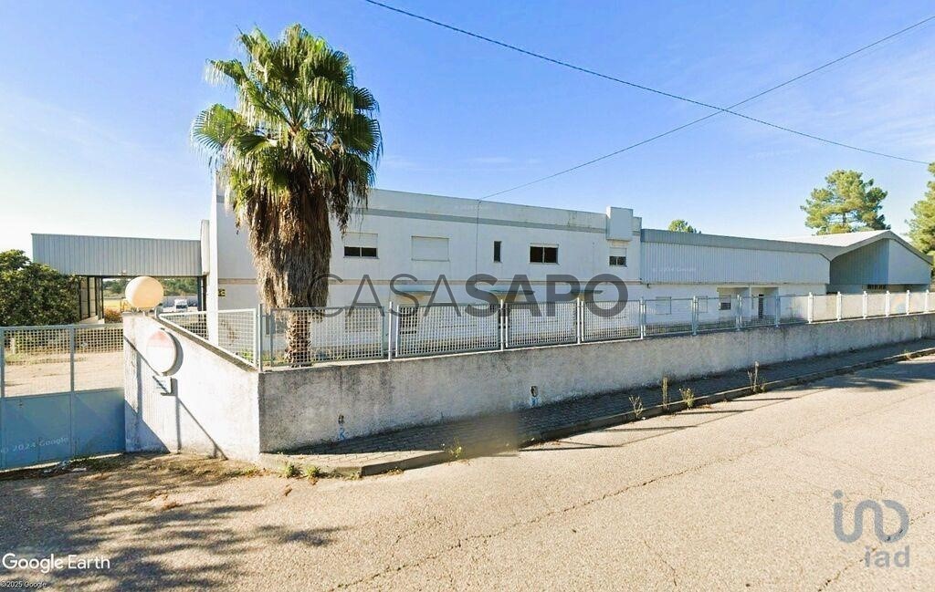  عقار تجاري في Muge, Portugal 5460متر مربع رقم 343547