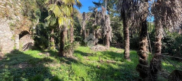 10 bedrooms Villa in San Colombano Certenoli, Italy No. 124207 7