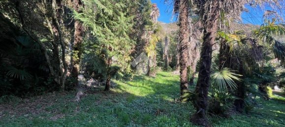 10 bedrooms Villa in San Colombano Certenoli, Italy No. 124207 8