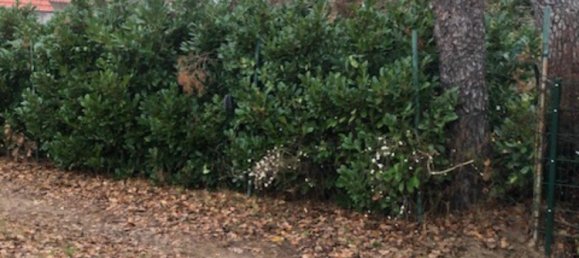 Grundstück in Brandenburg, Germany 912m², Nr. 28537 4