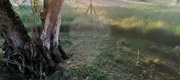 4 bedrooms House in Santarem, Portugal No. 26317 22