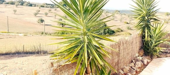 4 bedrooms House in Santarem, Portugal No. 26317 31