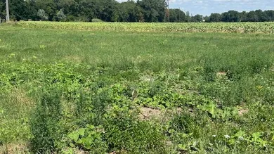 693m² Land in Ebreichsdorf, Austria No. 118967