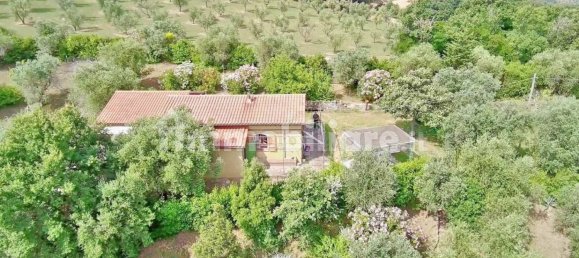 Villa T3 em Castagneto Carducci, Italy N.º 286106 22