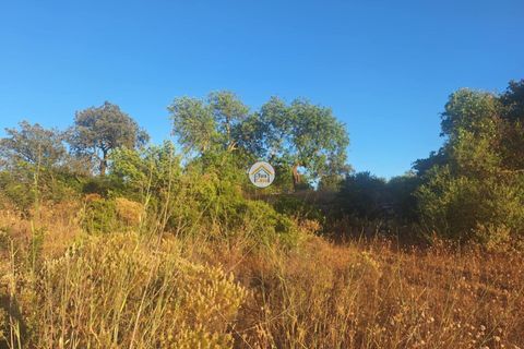 8680m² Land in Faro, Portugal No. 330055