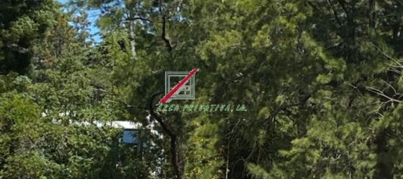 5 bedrooms House in Oeiras, Portugal No. 136538 44