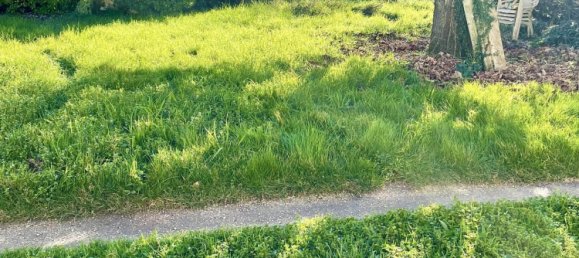 2 chambres Maison à Saint-Porchaire, France No. 100969 17