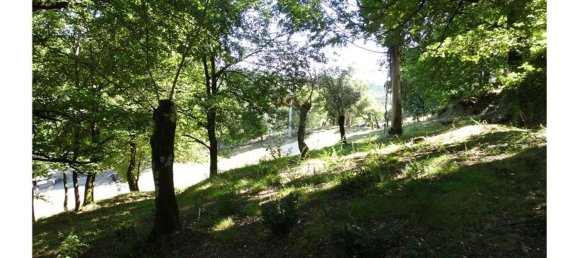  قطعة أرض في Cantelaes, Portugal 18000متر مربع رقم 21206 14