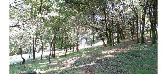  قطعة أرض في Cantelaes, Portugal 18000متر مربع رقم 21206 19