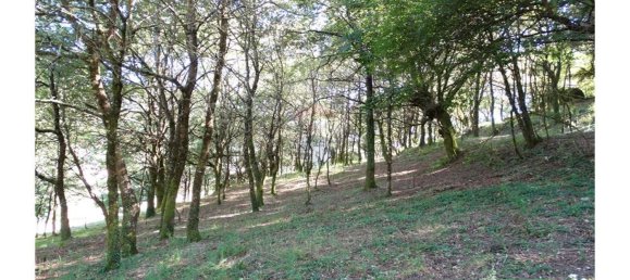  قطعة أرض في Cantelaes, Portugal 18000متر مربع رقم 21206 18