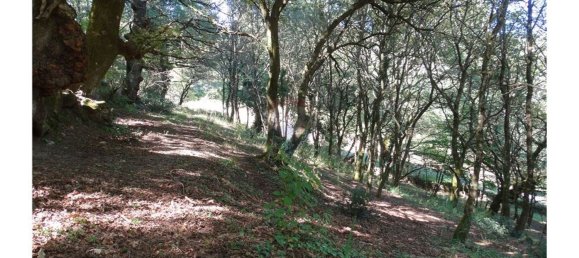  قطعة أرض في Cantelaes, Portugal 18000متر مربع رقم 21206 16