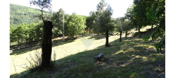  قطعة أرض في Cantelaes, Portugal 18000متر مربع رقم 21206 11