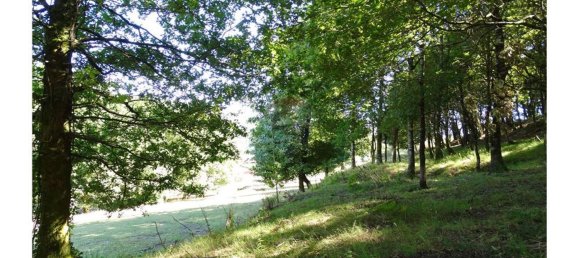  قطعة أرض في Cantelaes, Portugal 18000متر مربع رقم 21206 21