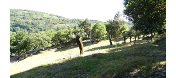  قطعة أرض في Cantelaes, Portugal 18000متر مربع رقم 21206 12